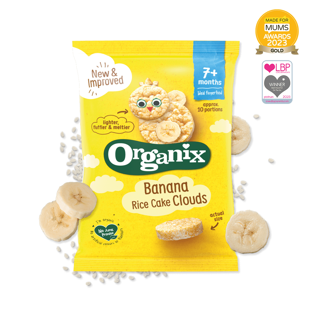 Best rice cakes sales for babies